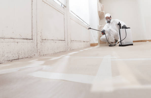 24/7 Emergency Mold Cleanup experts in Norwood, MA